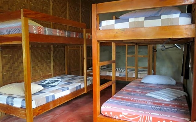 Lazy Lizard Hostel