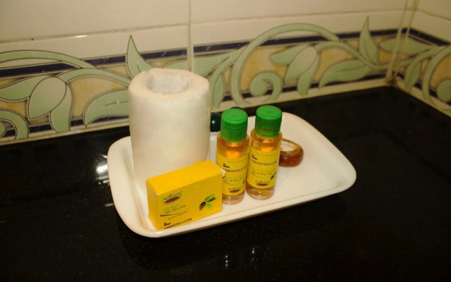 FabHotel Vizion Rezi