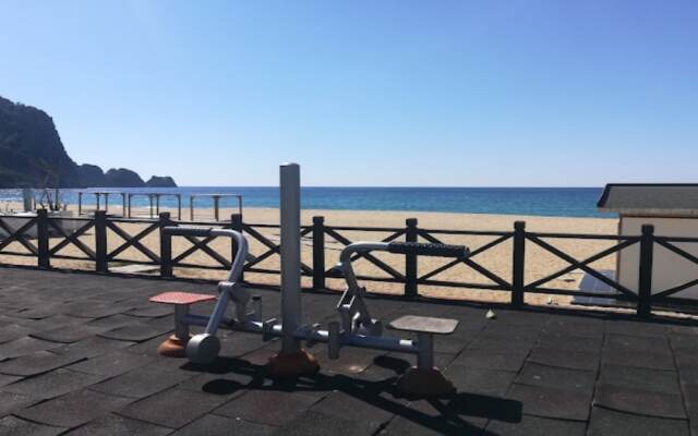 Amazing Kleopatra 200m Beach and 500m City Center