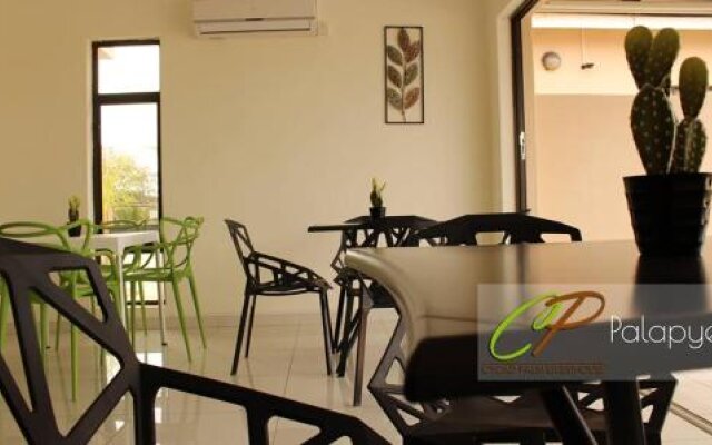Cycad Palm Guest House