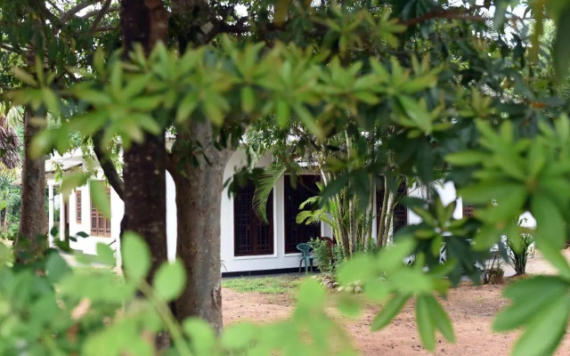 Sun and Green Eco Lodge