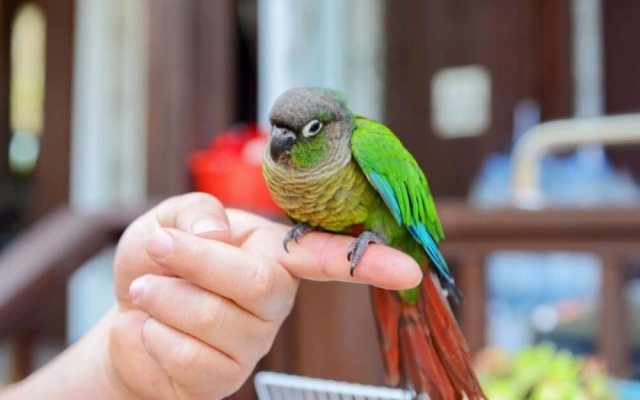Yangpyeong Chaeum Pension