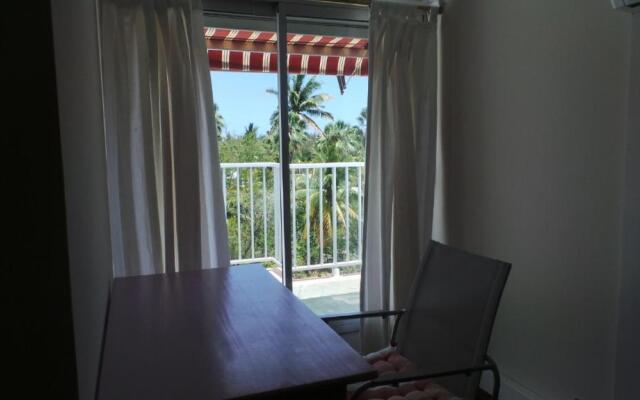 Entre cocotiers et Filaos