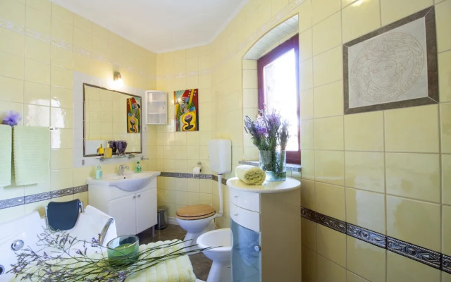 Diana City Hall View