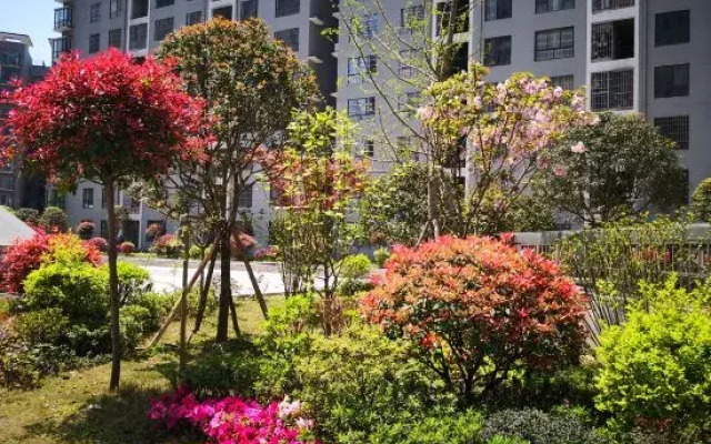 Bijie Jinpin Apartment Hotel