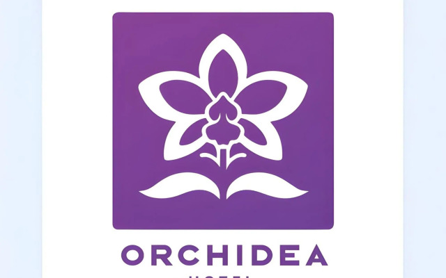 Orchidea