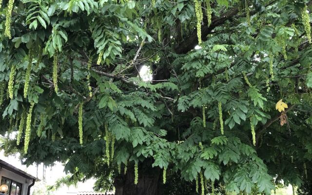 Skivarps Gästgivargård