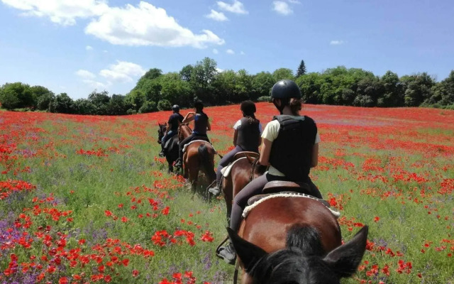 Agriturismo San Filippo