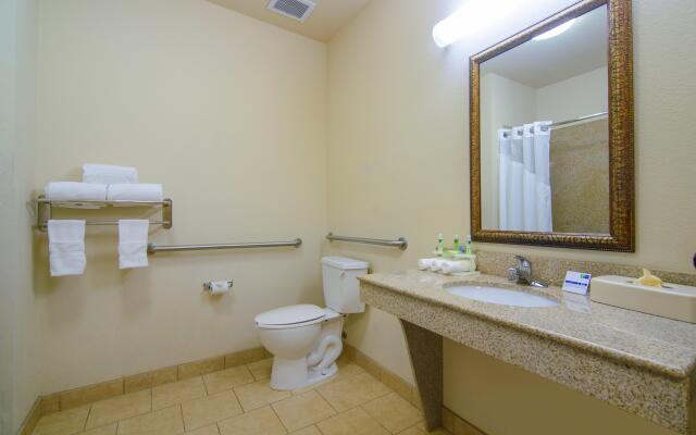 Holiday Inn Express Hotel & Suites Terrell by IHG