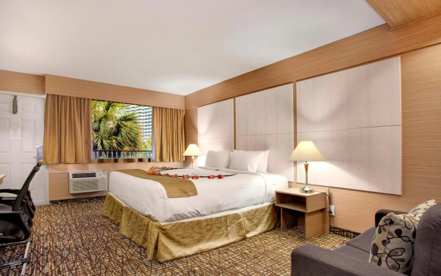 Ocean Beach Club Hotel