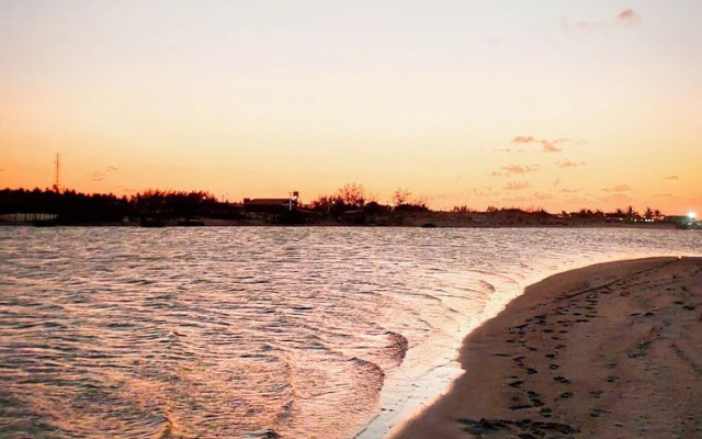 Paradise Suit Sal Premium