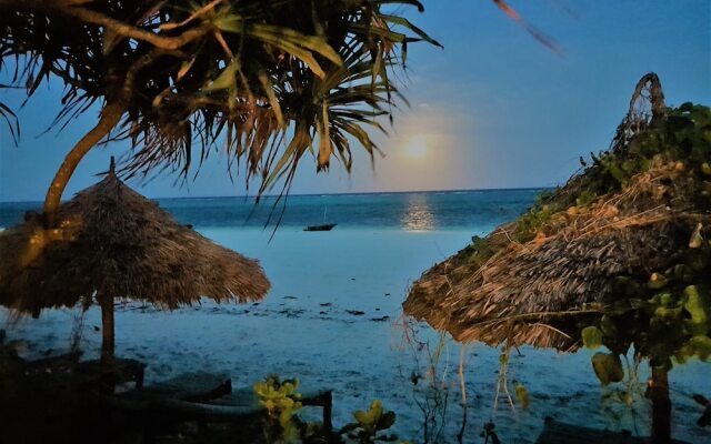 Zoi Retreat Hotel Zanzibar