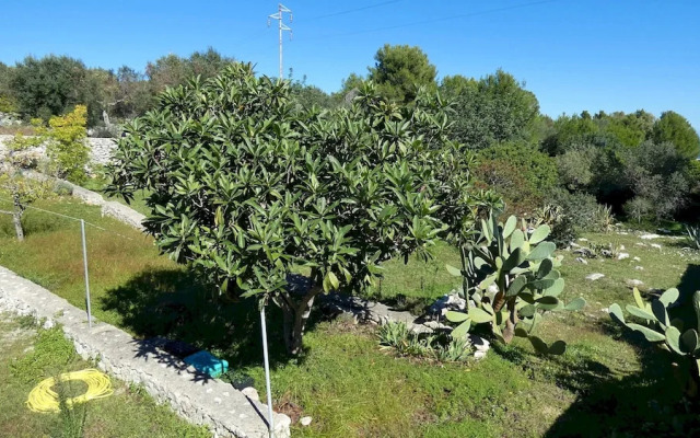 Villa Giulia - Immersa Nella Natura Vicino Al Mare
