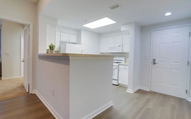 Amazing Apt in Ballston With Gym