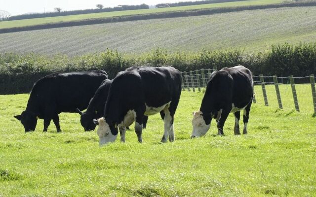Markstone Farm - Adults Only