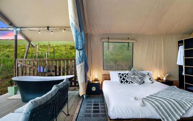 Cicada Luxury Camping