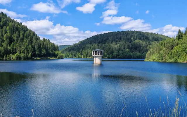 Gasthof Steinwald