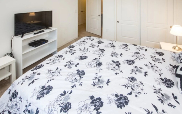 Compass Bay 3131