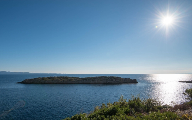 Country Home Dingač