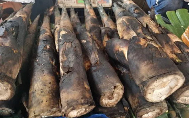 Phoenix Perches Reserve Villa