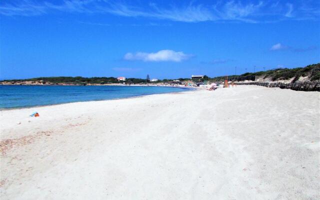 Pineta Spiaggia Grande 2