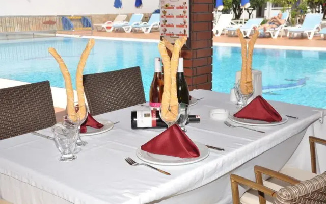 Catty Cats Garden Hotel