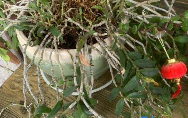 Tiantai Pinyuan Homestay