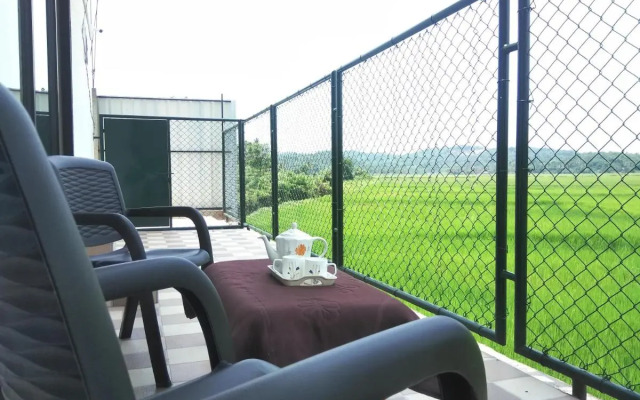 The Paddy Field Inn - Hostel