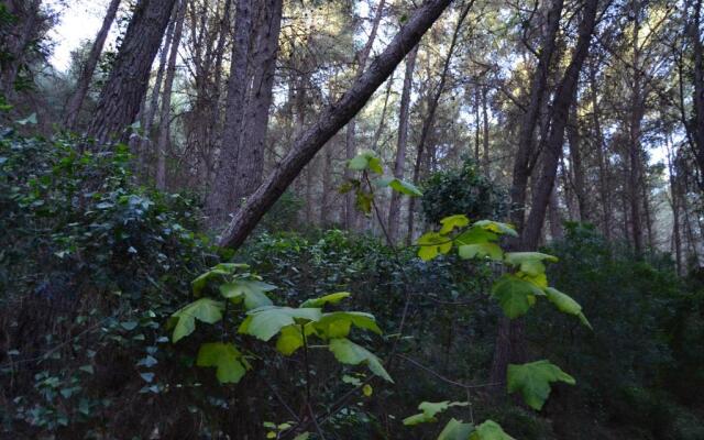 LA COVETA - Aptos. Vilapart