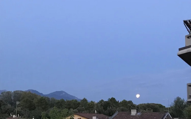 The Residence of the Ronchi