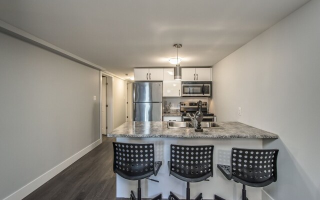 Spacious DAL & Downtown Apartments