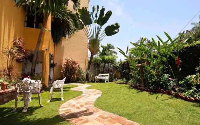 Cattleya's Green Suite Exquisite