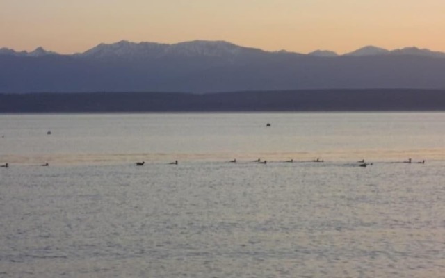 Beachfront Mutiny Bay Cabin