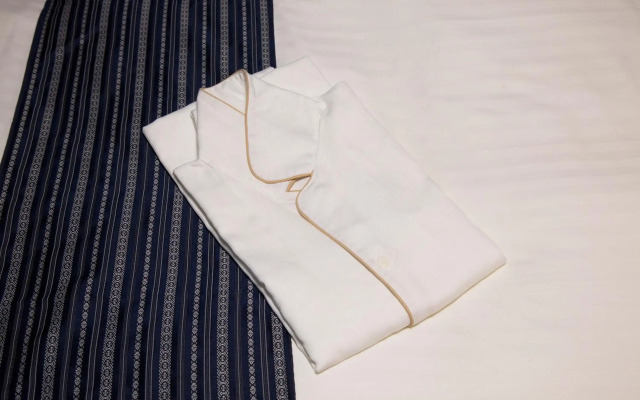 SHIZUTETSU HOTEL PREZIO Hakata-Ekimae