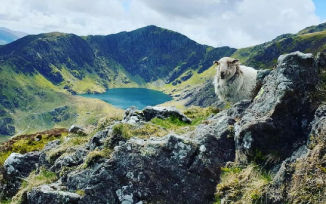 Luxurious underfloor heated Yurt with Hot tub