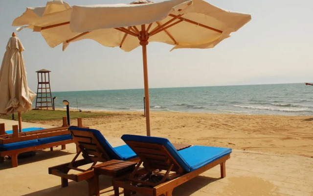 Palm Beach Safari Egypt