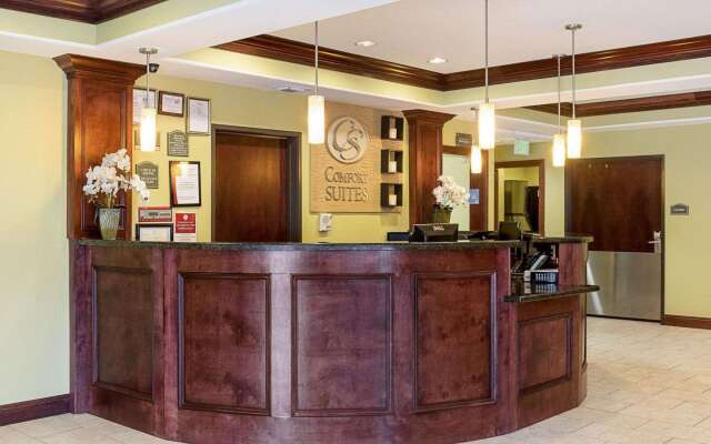 Comfort Suites Harvey - New Orleans West