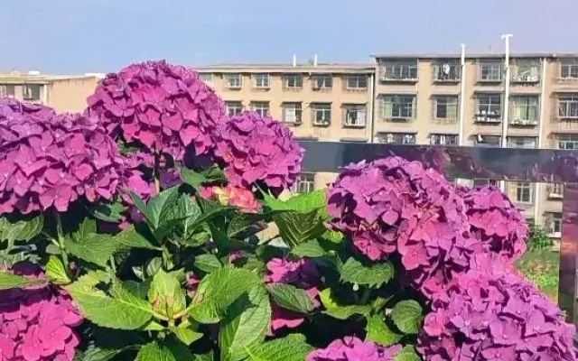 Wei'erding Hotel