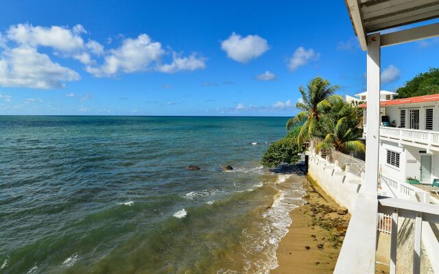 Lemontree Oceanfront Cottages