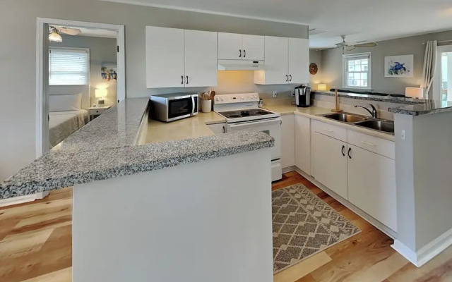 The Sassy Sea Turtle