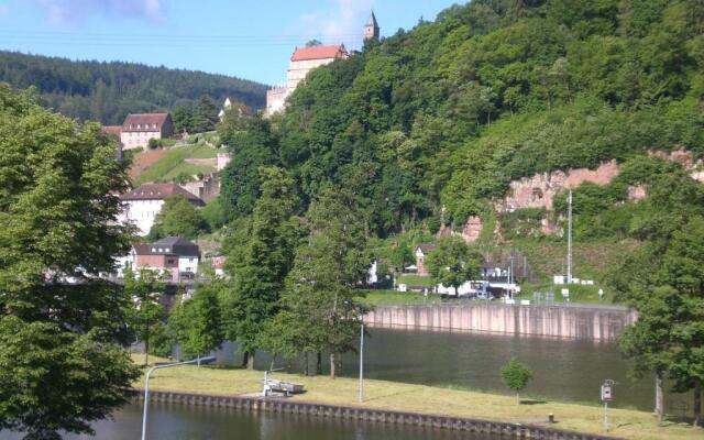 Romantisches Hirschhorn am Neckar