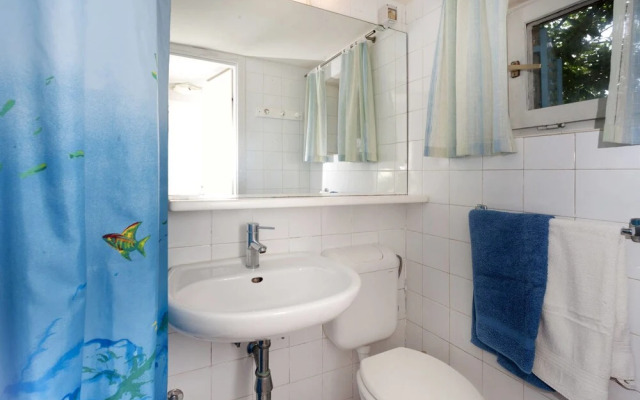 Hibiskus Tadini in Tadini