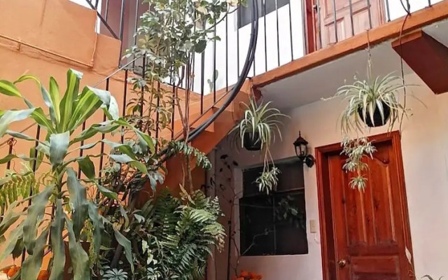 Posada de Xóchitl - Centro