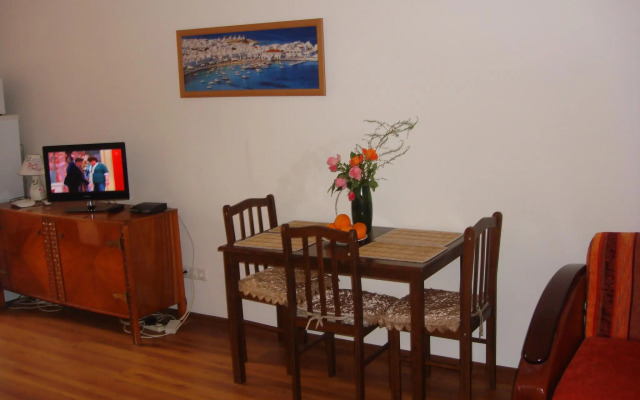 Apartments on Abazgaa street 43/1