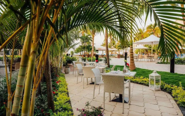 Renaissance Ocean Suites