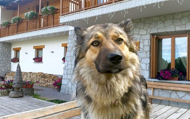 Albergo Chalet Abete Rosso