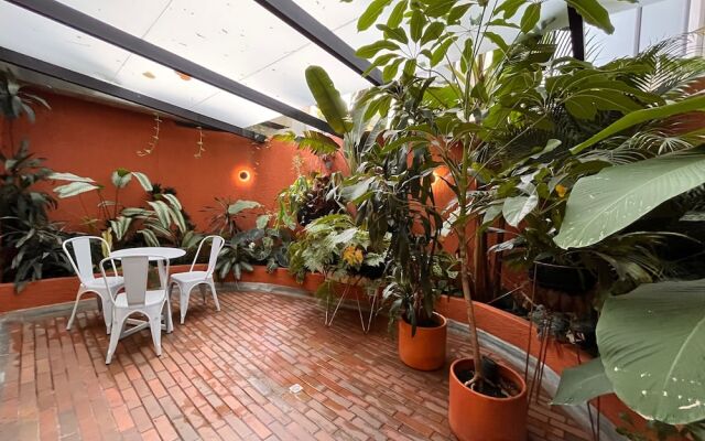 Hojarasca by Wynwood House