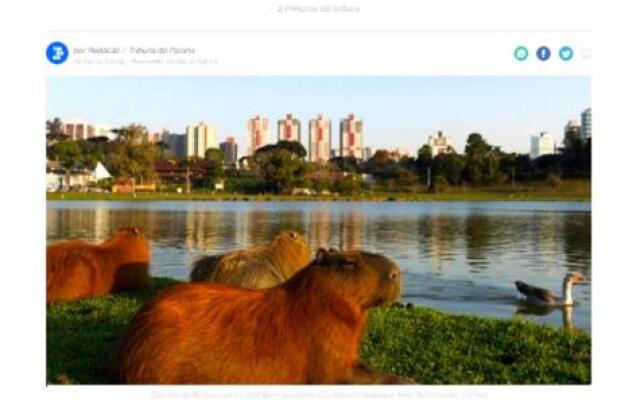 Acomodação-Expounimed-Parque de Software-CIC