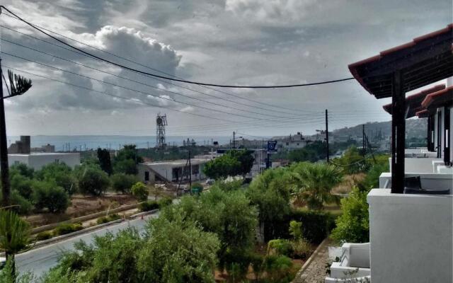 Apartments With Garden View1
