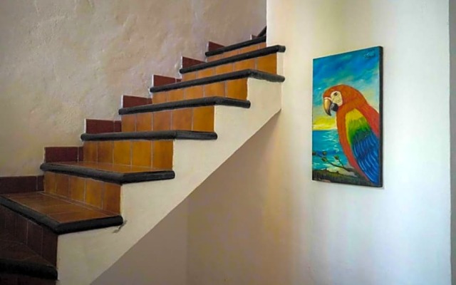 My Local Home Vallarta